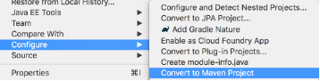 Configure, Convert to Maven Project