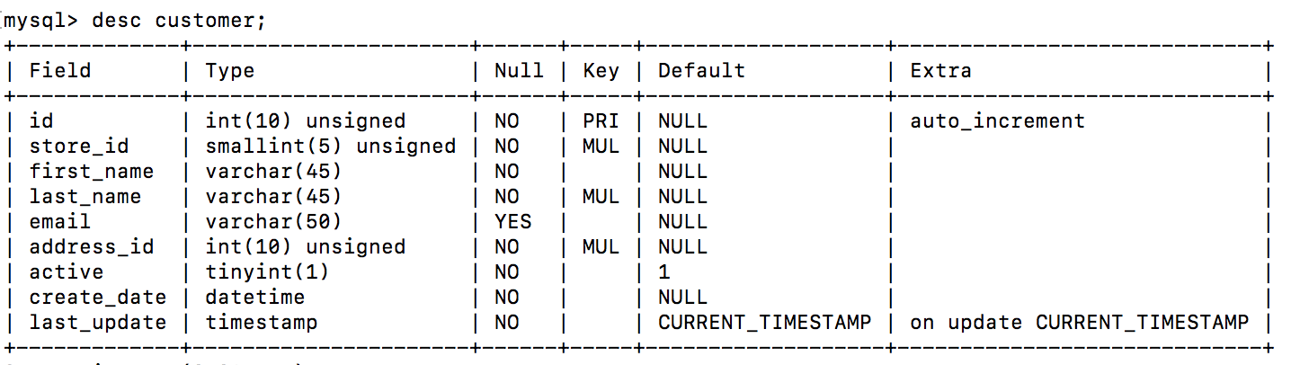 Customer SQL Table